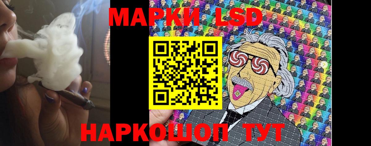 Галлюциногенные грибы Большой Камень