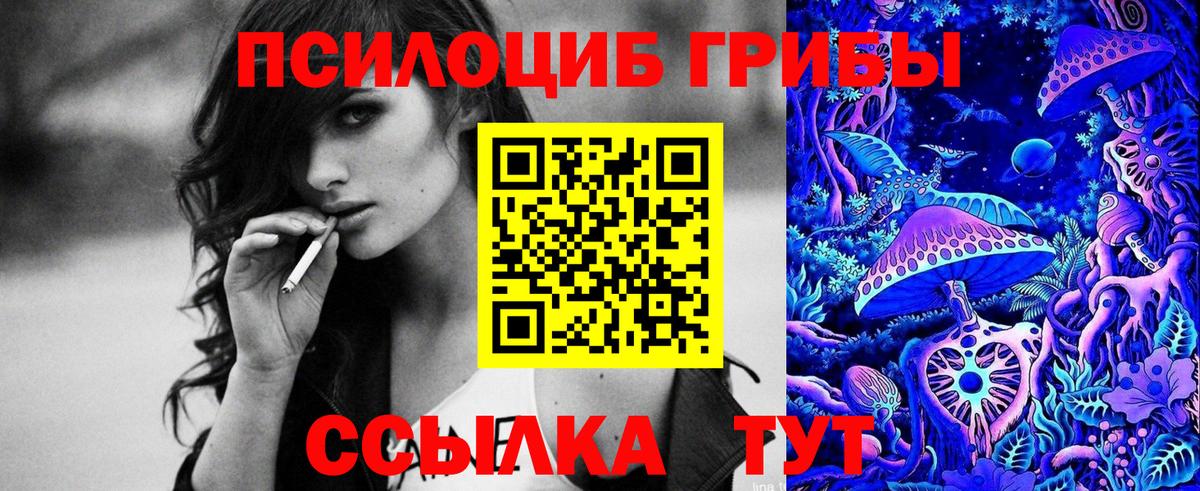 купить закладку  Вход с VPN  Большой Камень  Псилоцибиновые грибы Magic Shrooms 